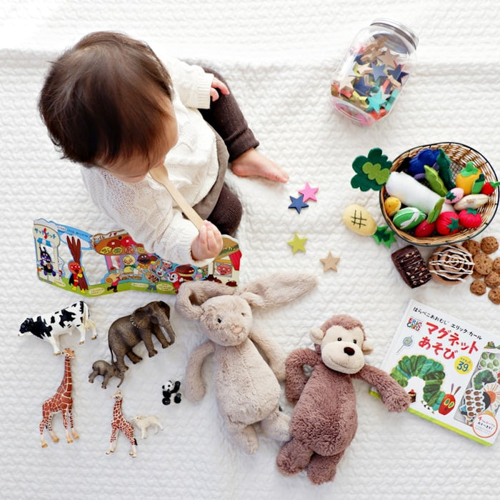 The Evolution of Educative Toys Throughout History