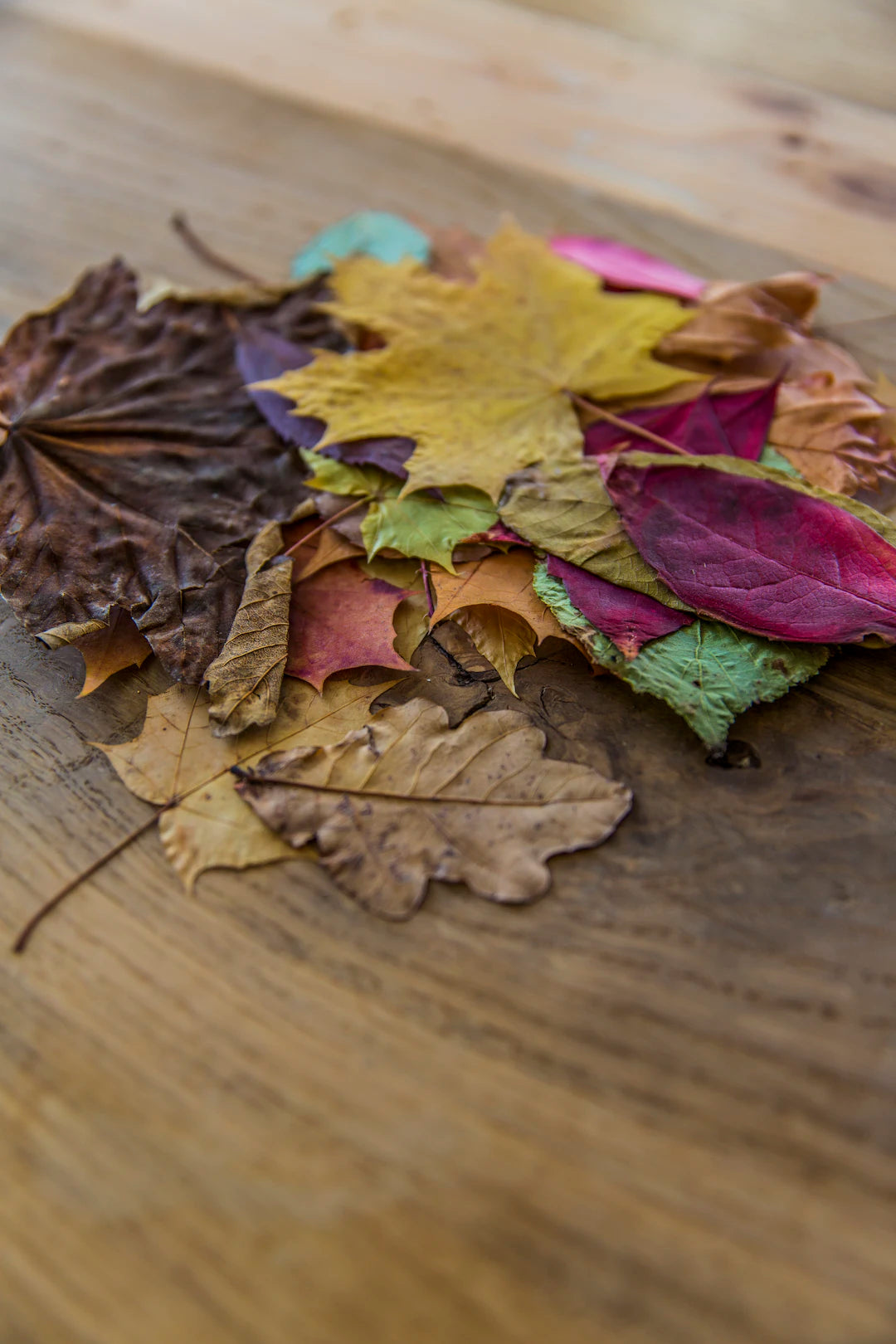 Understanding Different Learning Styles in Children: Unlocking Potential Through Play