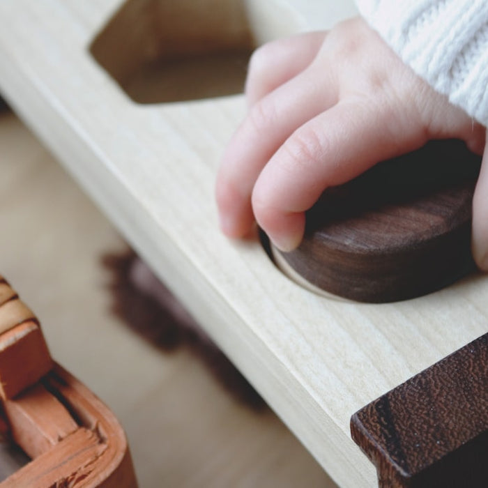 The Educational Value of Wooden Toys for Children